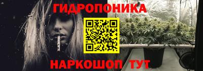 прущие грибы Обь