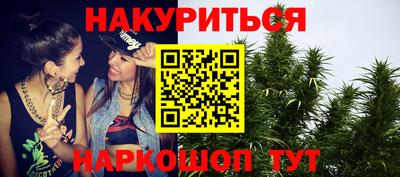 прущие грибы Обь