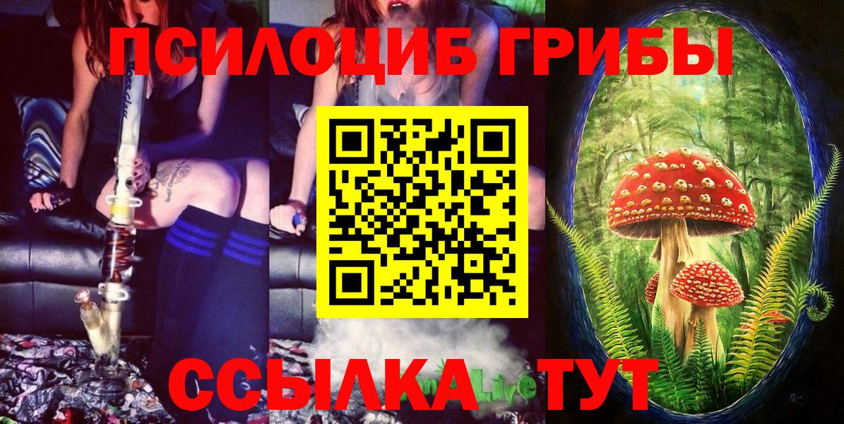 Псилоцибиновые грибы прущие грибы  Вход с VPN  Заринск 